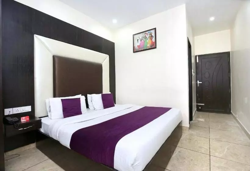 Fotos del hotel Hotel Ds Regency By OYO Rooms:  10