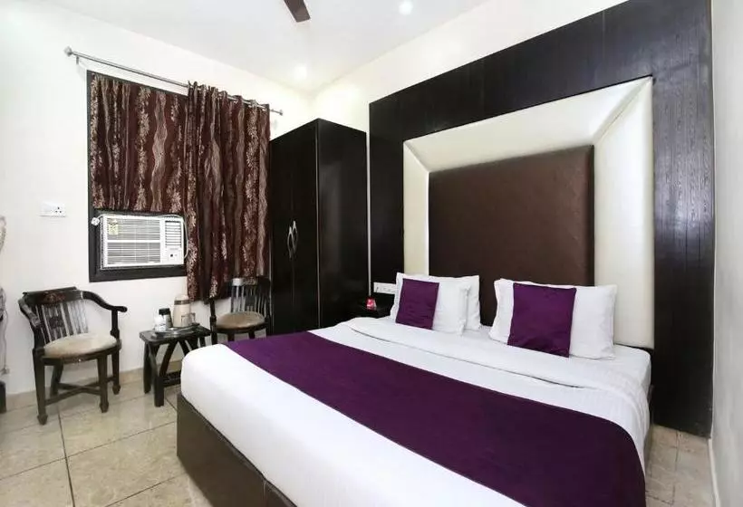 Fotos del hotel Hotel Ds Regency By OYO Rooms:  6