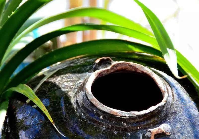 Fotos del hotel Lvis Boutique:  2