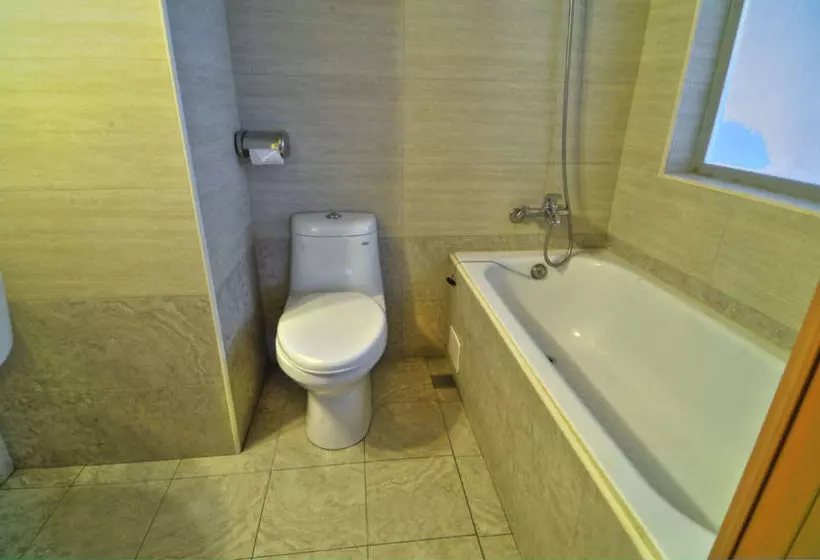 Fotos del hotel Sinyago:  4