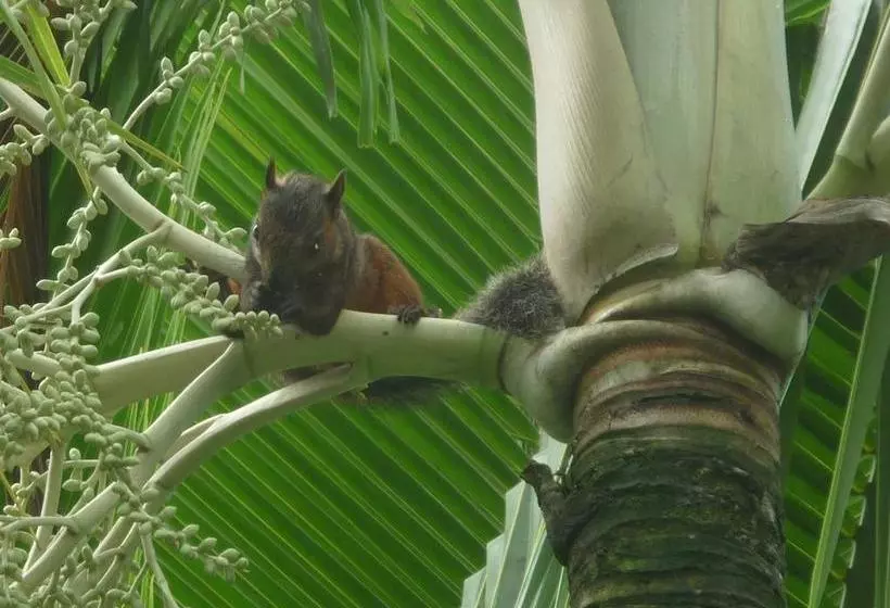 Fotos del hotel Cerro Chato Ecolodge:  17