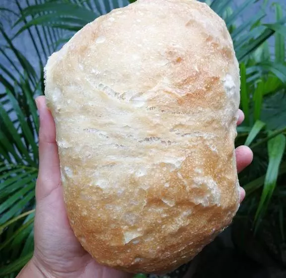 Fotos del hotel Capital O 468 Element Boutique:  18