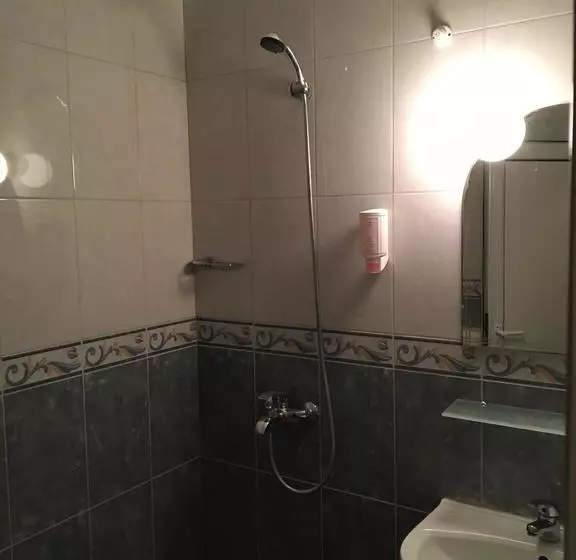 Fotos del hotel Biju:  6