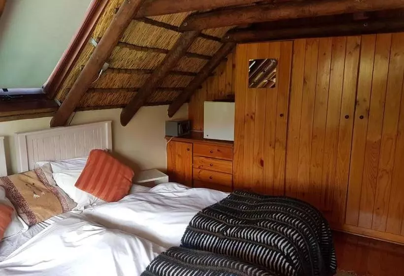 Fotos del hotel The Beautiful South Guesthouse:  7