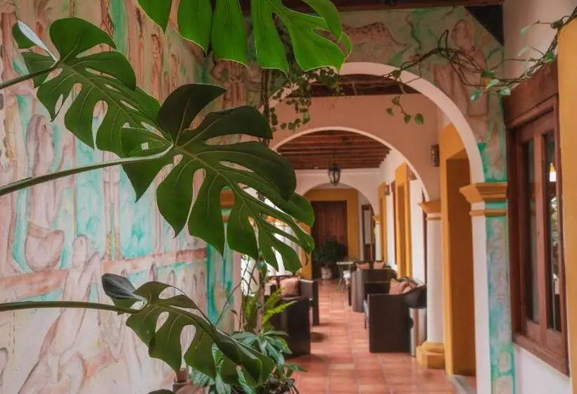 Fotos del hotel Casa Margarita:  17
