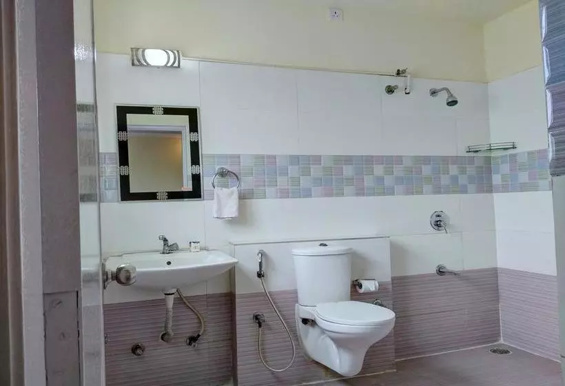 Fotos del hotel Fab Platinum:  5