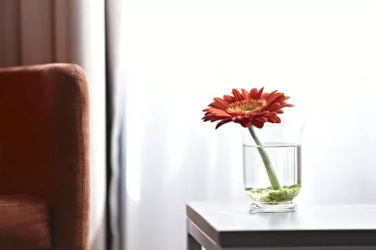 Fotos del hotel Intercity Stuttgart:  22