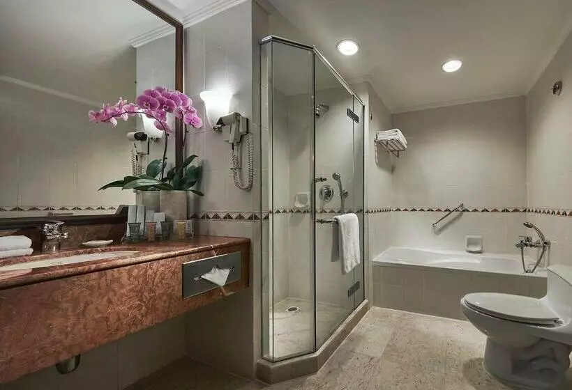 Fotos del hotel Equatorial Penang:  10