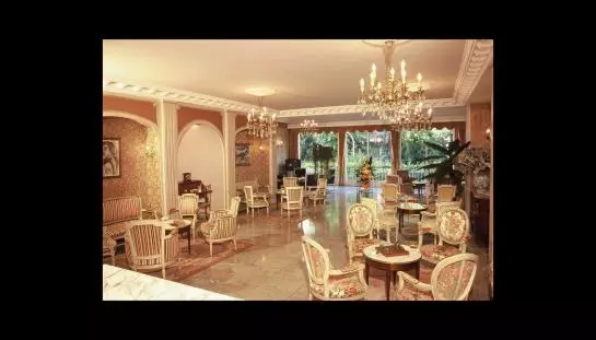 Fotos del hotel Minotel Excelsior:  18