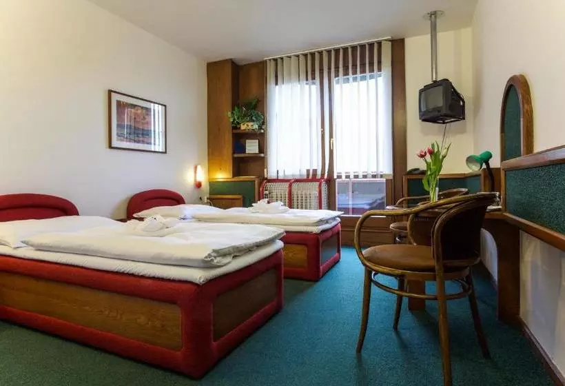 Fotos del hotel Poprad:  11