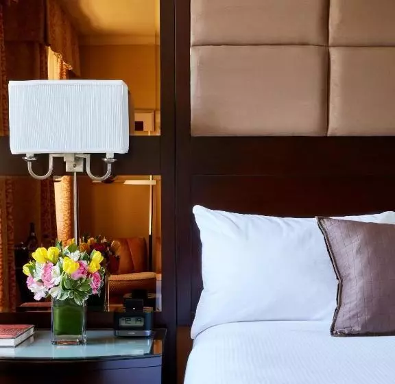 Fotos del hotel Excelsior:  10