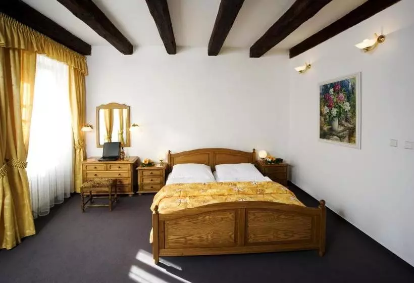 Fotos del hotel Malý Pivovar:  11