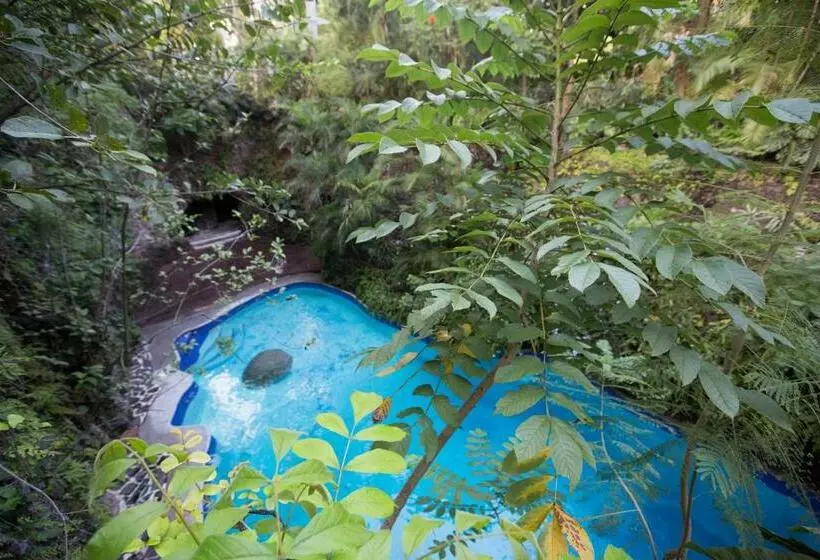 Fotos del hotel Hotel Jacarandas:  8