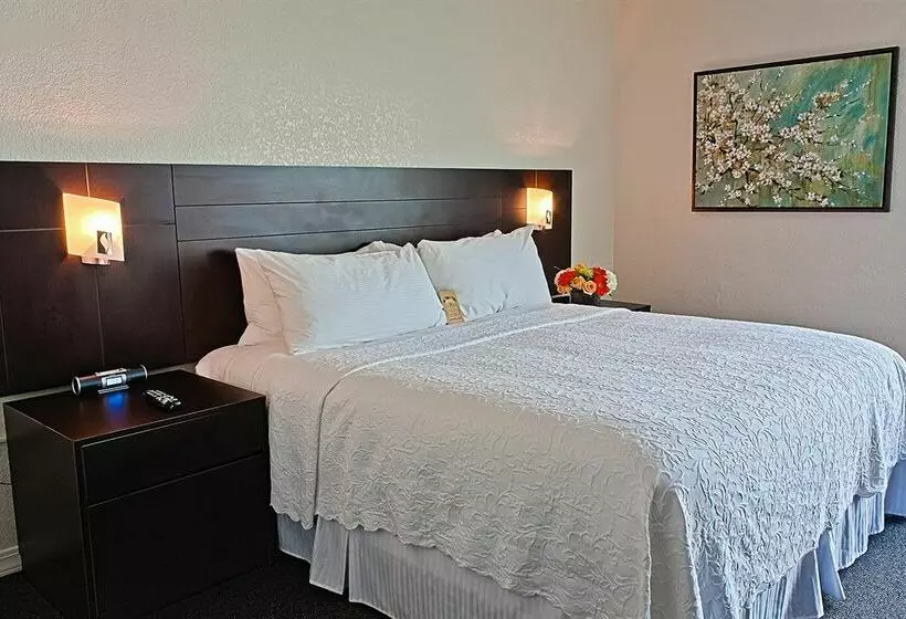 Fotos del hotel Da Vinci Villa:  23