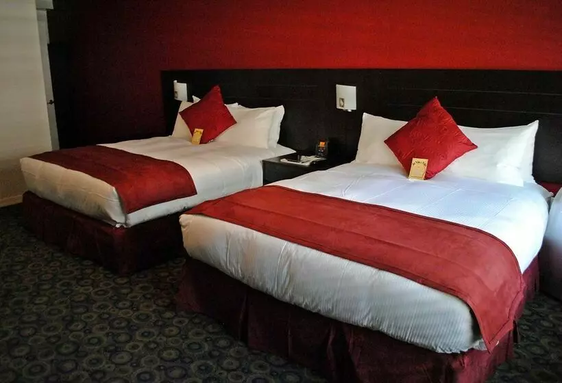 Fotos del hotel Da Vinci Villa:  22