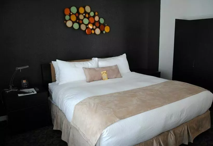 Fotos del hotel Da Vinci Villa:  9