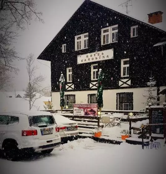 Fotos del hotel Karolina:  15