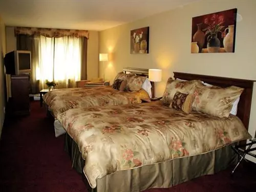 Fotos del hotel Hotel Plateau Royale:  6