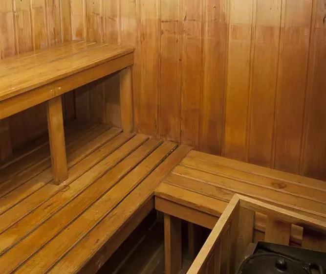 Fotos del hotel Lugano Suites:  5