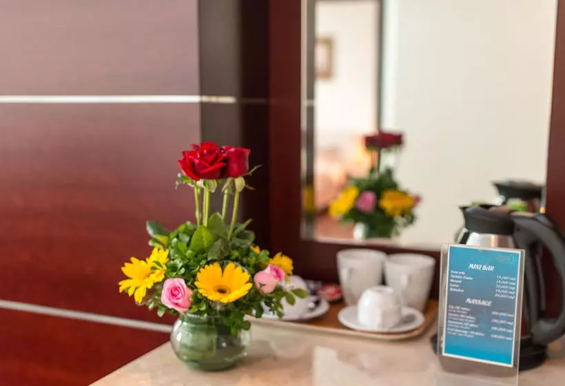 Fotos del hotel Da Nang Riverside:  7