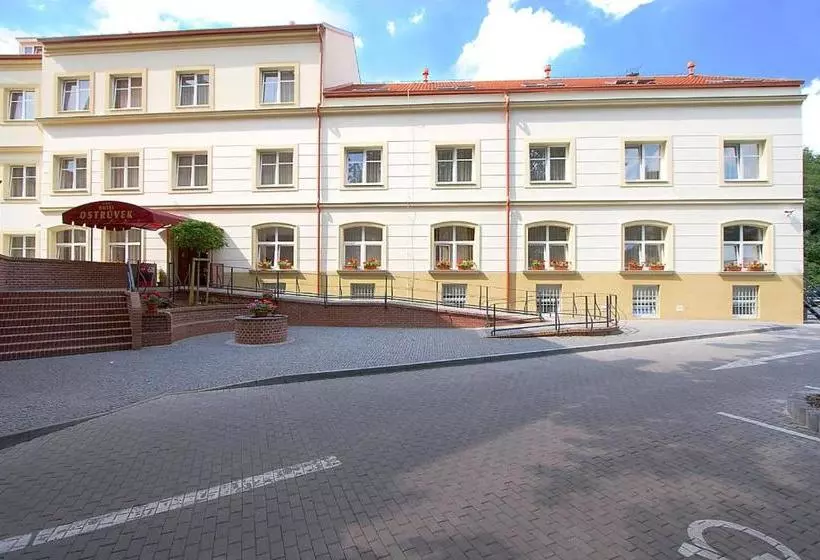 Fotos del hotel Ostruvek:  4