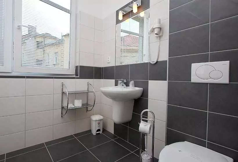 Fotos del hotel Ostruvek:  8