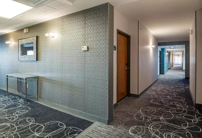 Fotos del hotel Wingate By Wyndham Chihuahua:  15