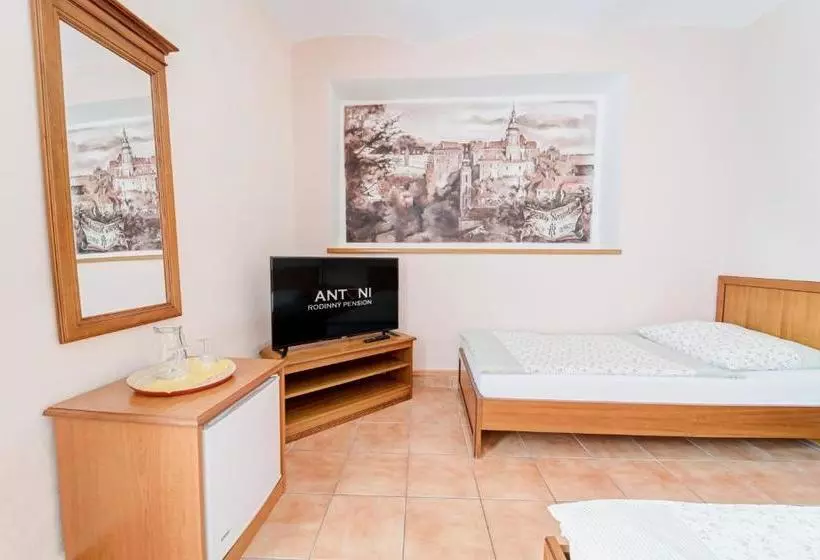 Fotos del hotel Rodinný Pension Antoni:  12