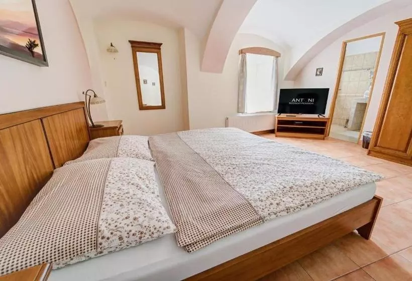 Fotos del hotel Rodinný Pension Antoni:  15