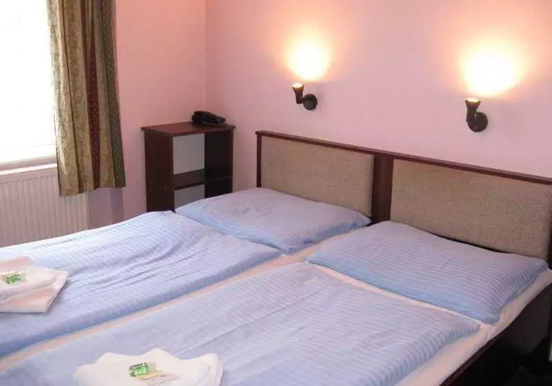 Fotos del hotel U Ceske Koruny:  4