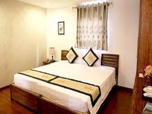 Fotos del hotel Hanoi Apple:  25
