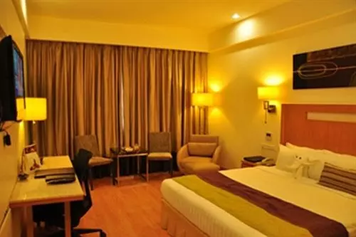 Fotos del hotel Manasarovar  The Fern:  2