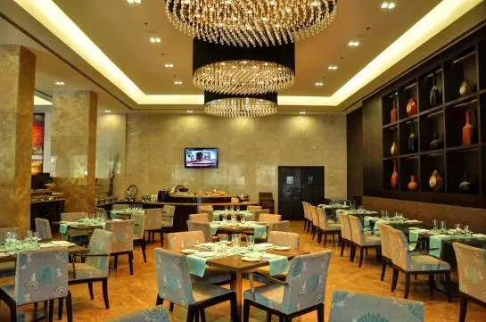 Fotos del hotel Manasarovar  The Fern:  17