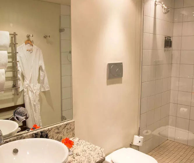 Fotos del hotel Dutch Manor Antique:  8