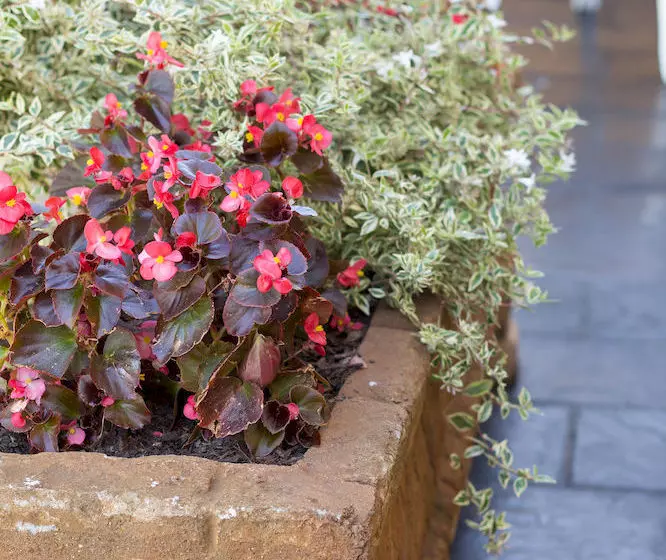 Fotos del hotel Dutch Manor Antique:  9