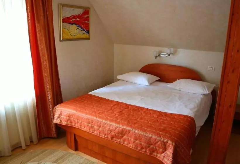 Fotos del hotel Pensiunea Andy:  20