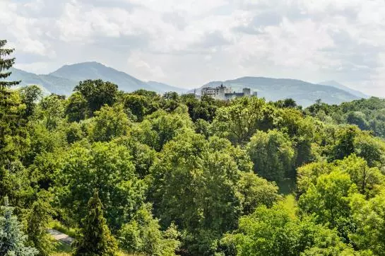 Fotos del hotel Johannes-schloessl Der Pallottiner:  3