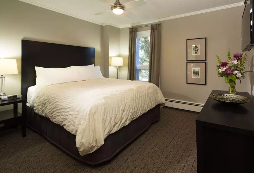 Fotos del hotel Execsuite Inc:  15