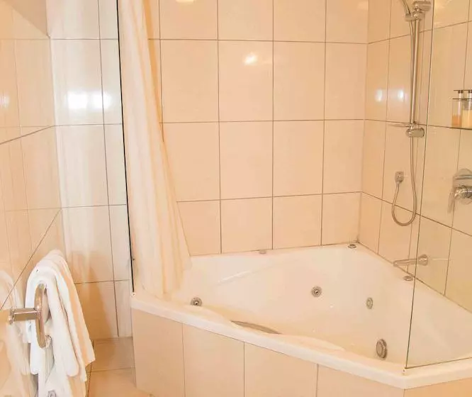 Fotos del hotel Airport Motor Lodge:  3