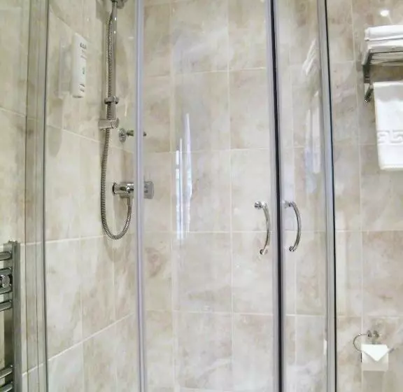 Fotos del hotel The Wilton:  7