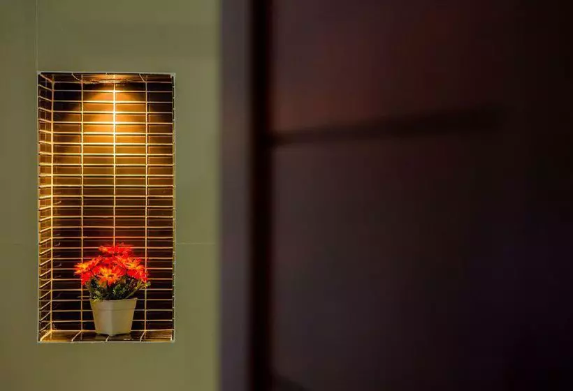 Fotos del hotel Miracle House:  19