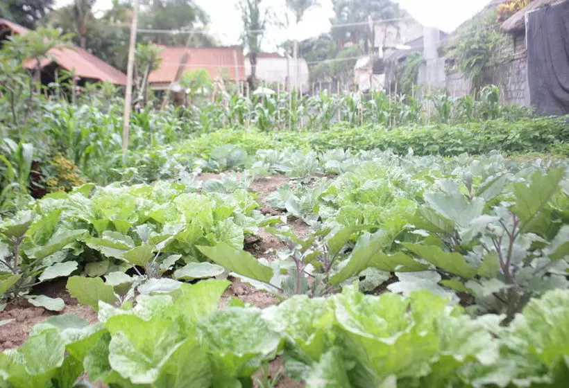 Fotos del hotel Kampung Ubud Bungalow:  4