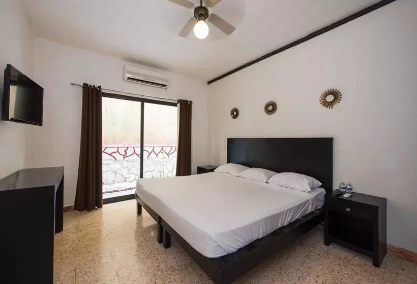 Fotos del hotel Caracol Suite:  20