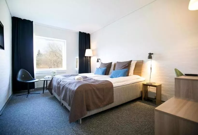 Fotos del hotel Ech Park:  5