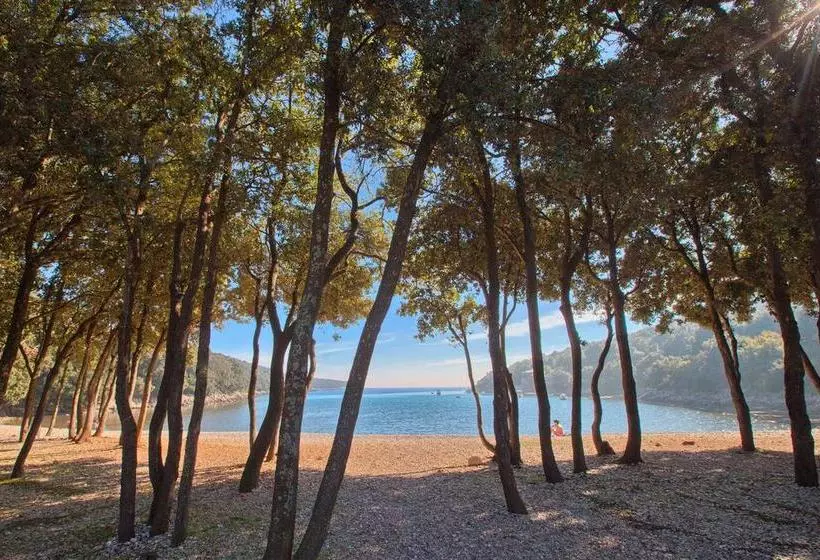 Fotos del hotel Resort Duga Uvala:  15