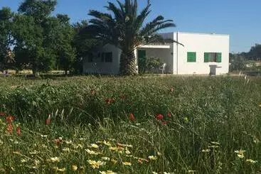 Es Magraner - Cala Saona