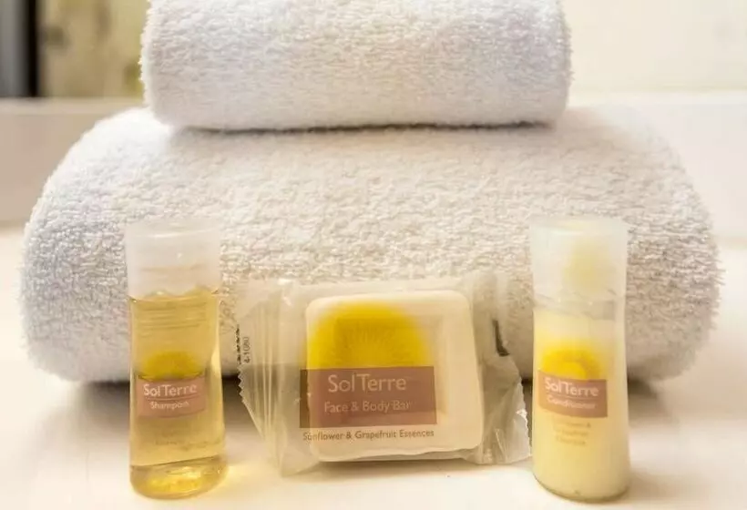 Fotos del hotel Days Inn By Wyndham Airport  Phoenix:  3