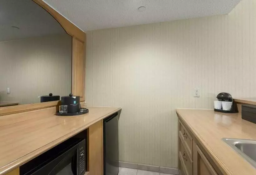 Fotos del hotel Embassy Suites Phoenix Airport At 24th Street:  8