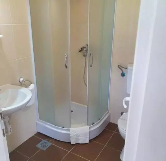 Fotos del hotel Sajam:  9