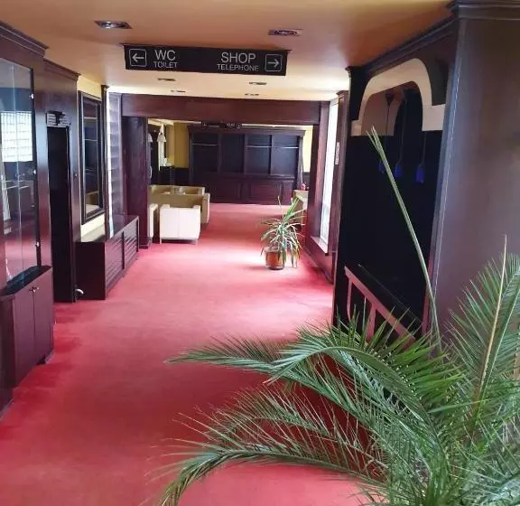 Fotos del hotel Sajam:  4